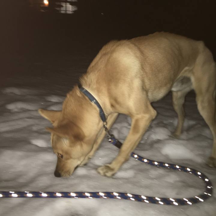 64fdcf42 e204 478e aa30 fb94cd65c5f2 1517144561229