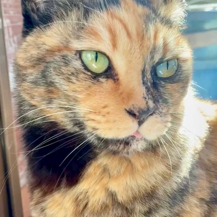 64fdde7c 5578 45ed 9b0c 63b8626a2d91 1766372330078