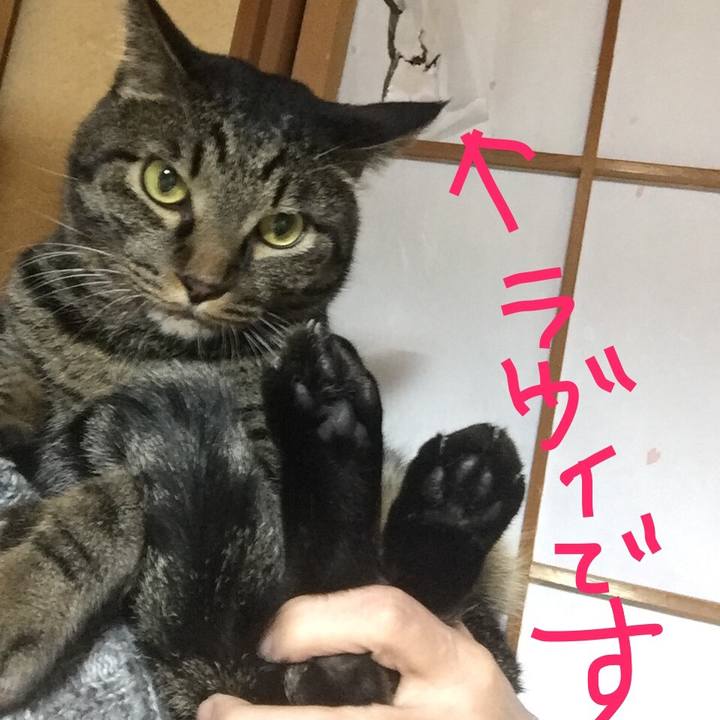 64fdee3f 0c95 4659 81c7 960e4a0c62c8 1508488752656