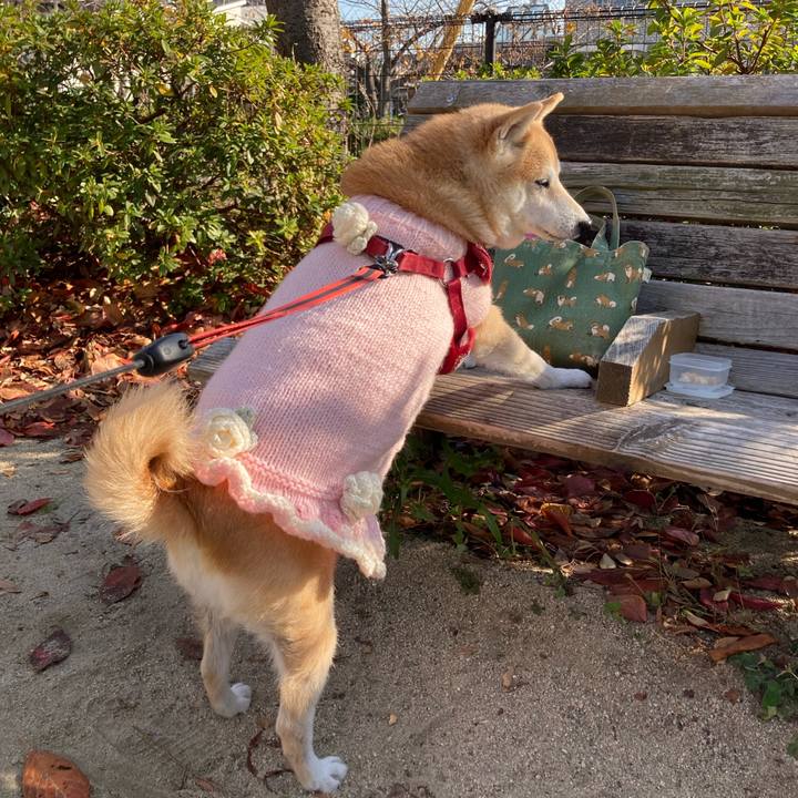 64fdfa54 3ddb 4cbc b203 8acc04686312 1639579263781