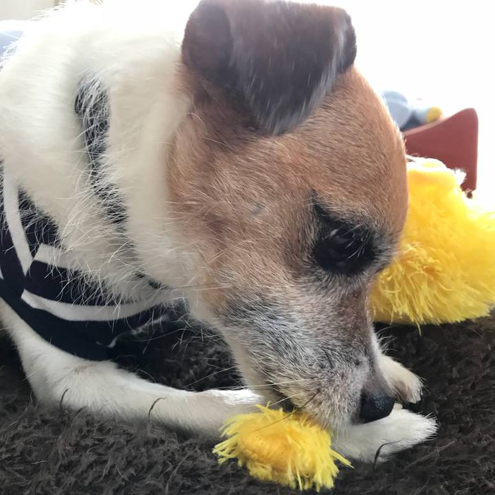 64fe2509 6930 4fe6 878d aa5b4d251d1d 1537349378487