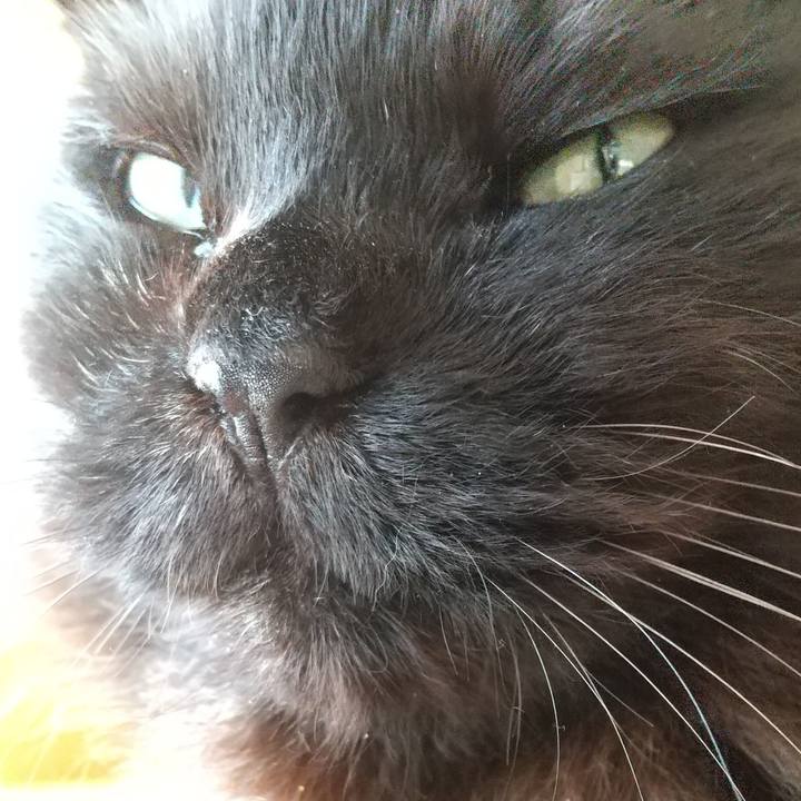 64fe26e7 c8a8 4767 82a6 3ce81788d4cf 1609545154891