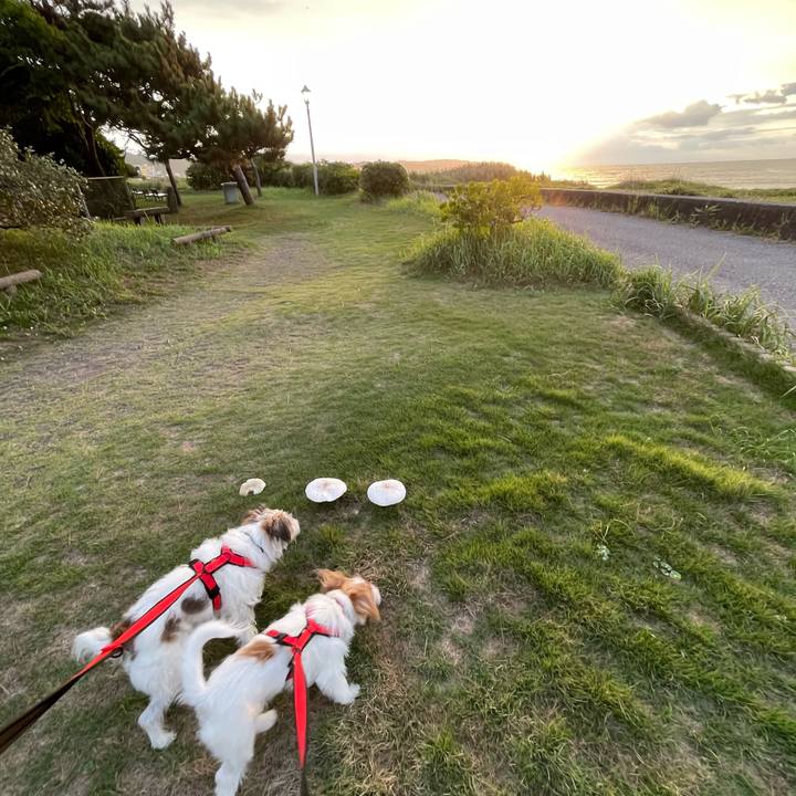 64fe6f01 d87a 4860 9598 f8f5f0407b79 1758323804820