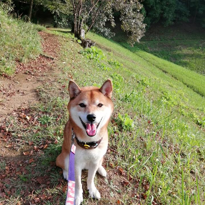 64fe90b1 82da 4943 acab c099649edf2e 1632469983363