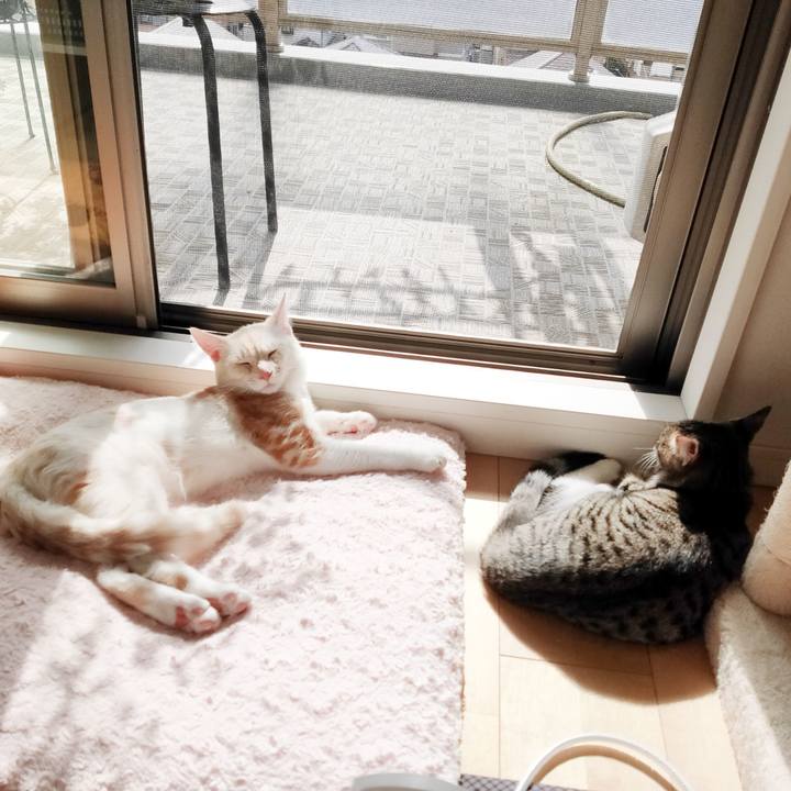 64fedc4c b2ed 4855 8c35 cc1be6b35af8 1632890243078