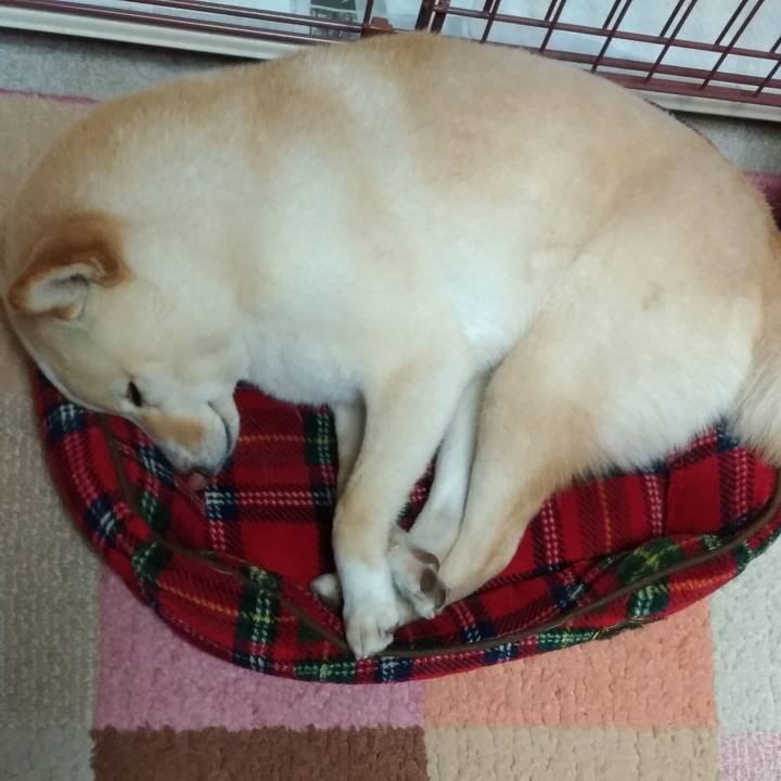 64fef337 97ba 4b73 a95a dfaf540ef8b0 1556020012011