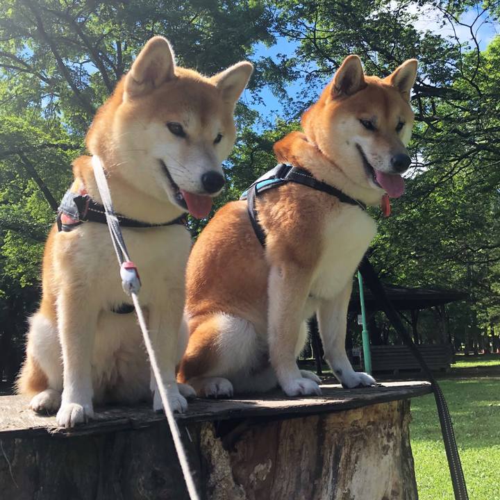 64ff2b76 ad2c 469b b804 c8283d0dcd5f 1531277171272