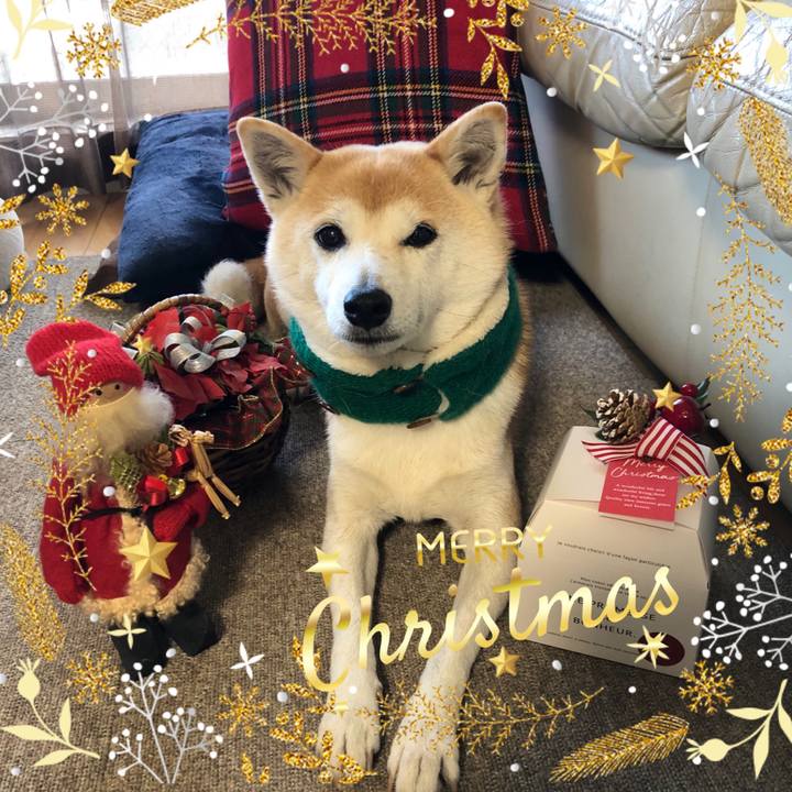 64ff455d 3c57 4723 aa7f 926b43110491 1671943836320