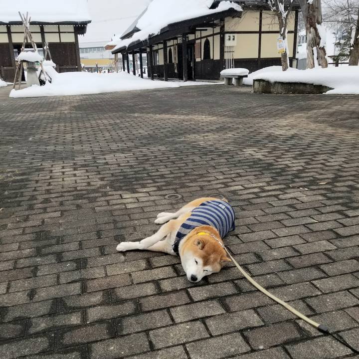 64ff59d4 1fe6 484c 9c3f a66adf9dbc87 1674794208142