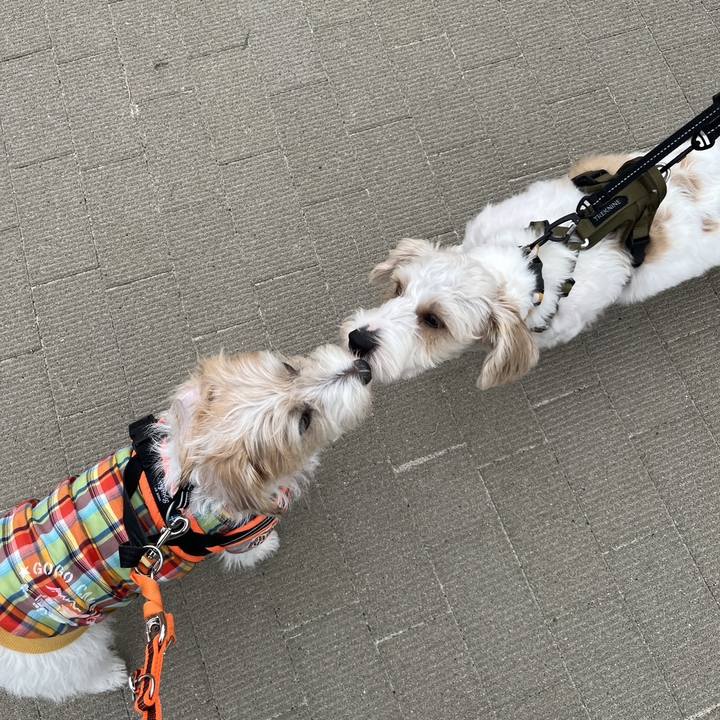 64ffc1d4 77ab 471f 9180 fb56b8e19021 1760395263461