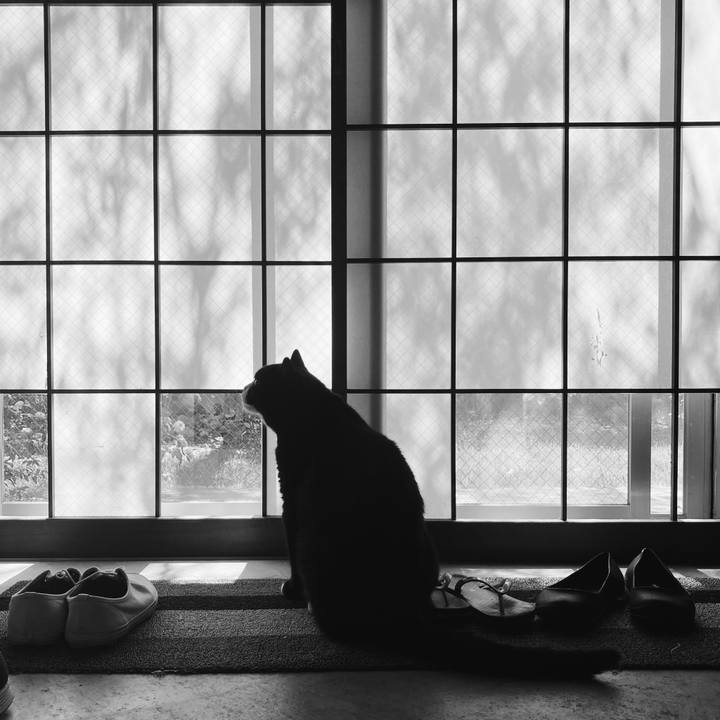 64ffd268 65b7 4637 8fd0 f7b1df290adf 1592014506661