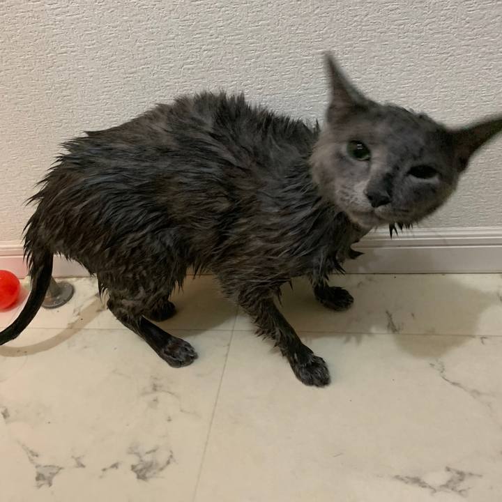 64ffd2ec c1bf 461a a89a ca64f81e47e4 1620437704473