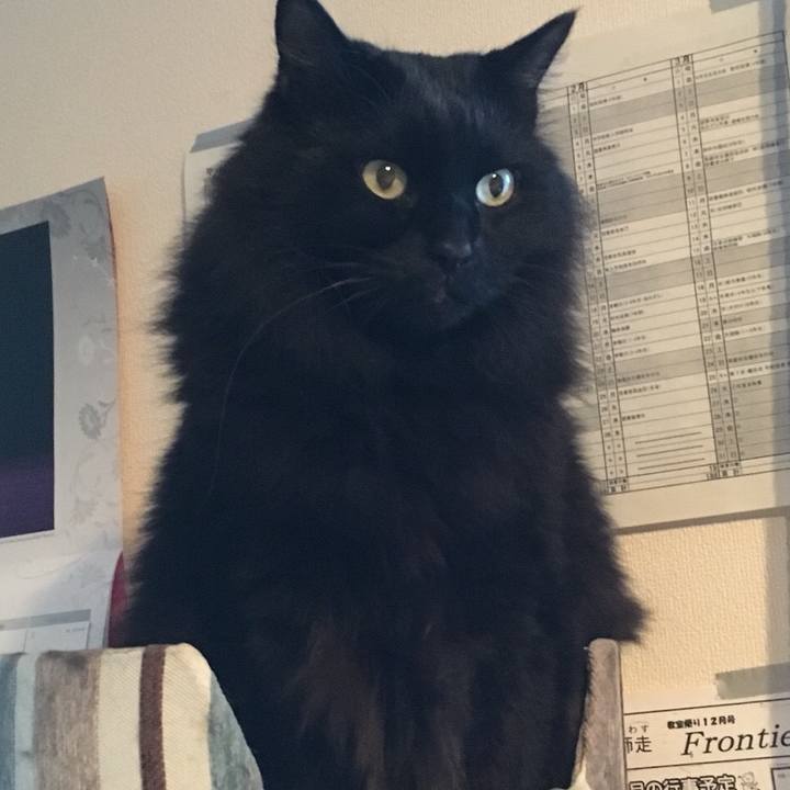 64ffe14d d434 45a5 9f97 24fb9f3d5355 1543197513935