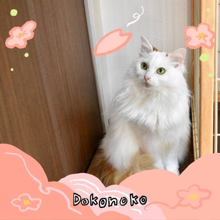 64fff050 a9ed 45fd 8d8e 70da9a1c09eb 1775188080449