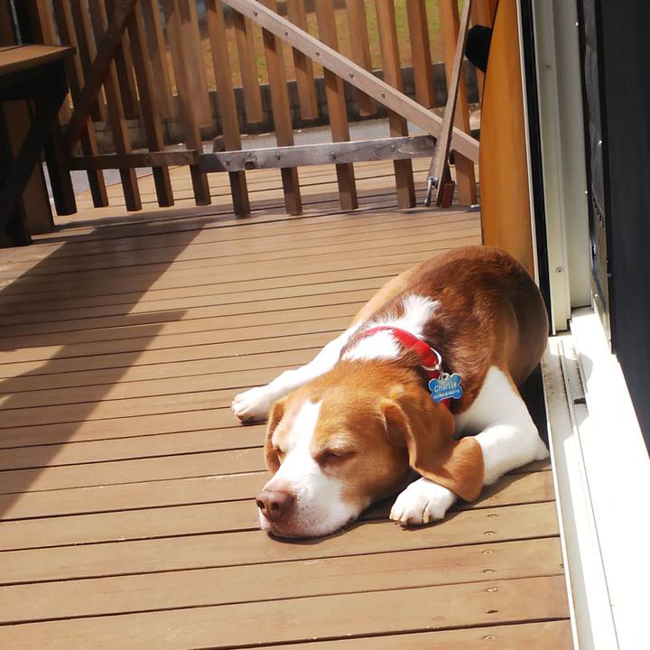 64fff400 4e24 412d 8e8f 3944b28c33fc 1648867605993