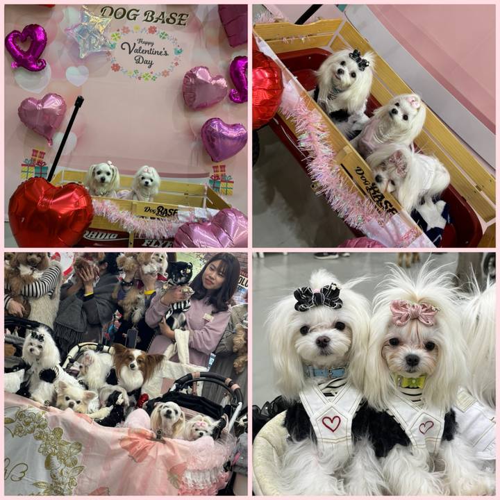 650022cb fa22 4953 aabc 71713205c5c7 1769853280224