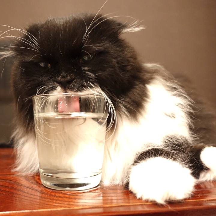 65002e7c 05e1 470e 823e 8fcc2b3d681c 1543763031917