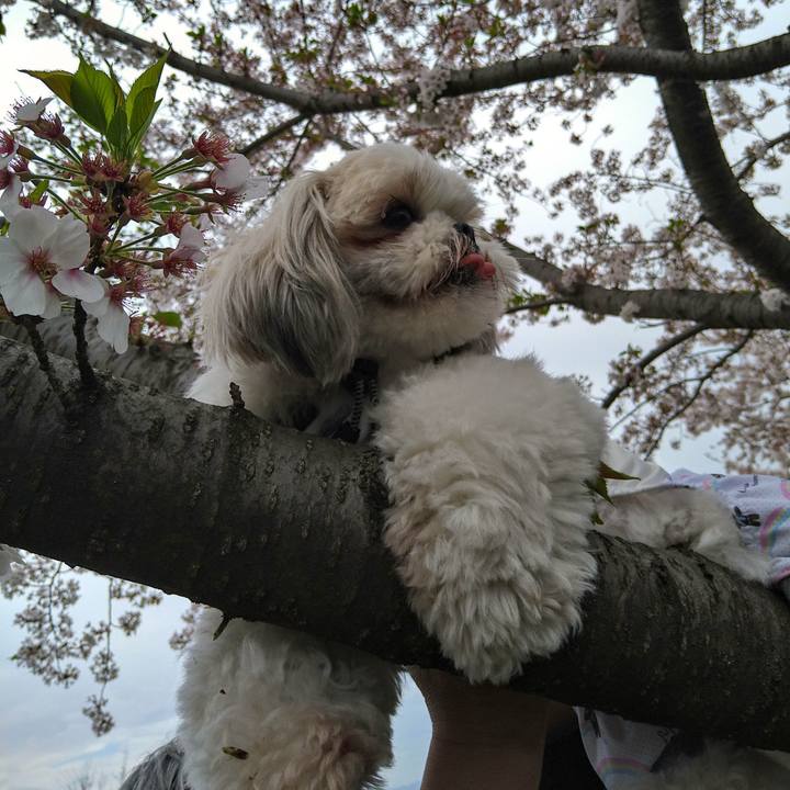 65003a4d cb8b 4046 9b11 215b21f2525d 1617529169472