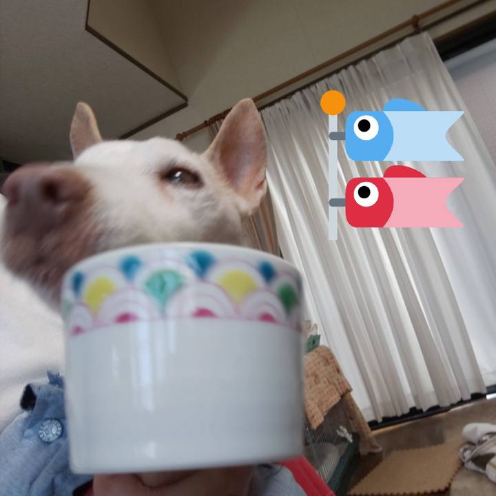 65005351 5eea 469d 9cc9 4de7f699f5e8 1557018872723