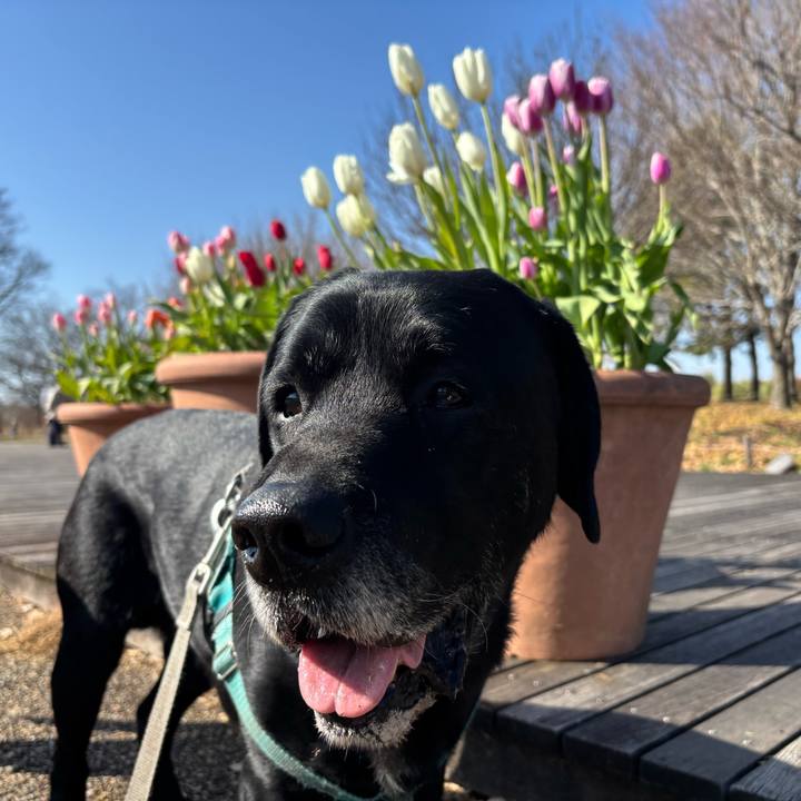 65005b3a 7988 44f3 b8d3 26873bc34768 1768731753547