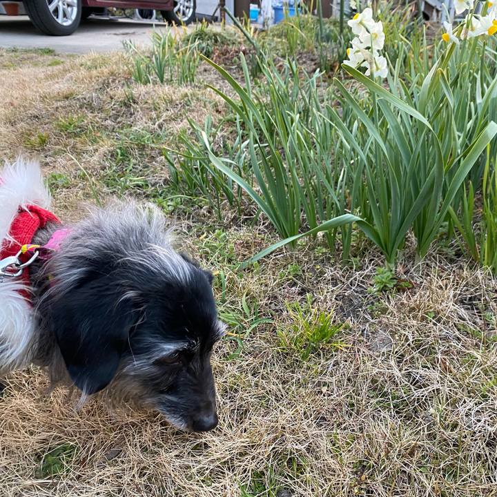 65008c79 9286 4cde bccf 8af06fa66d17 1646954221782