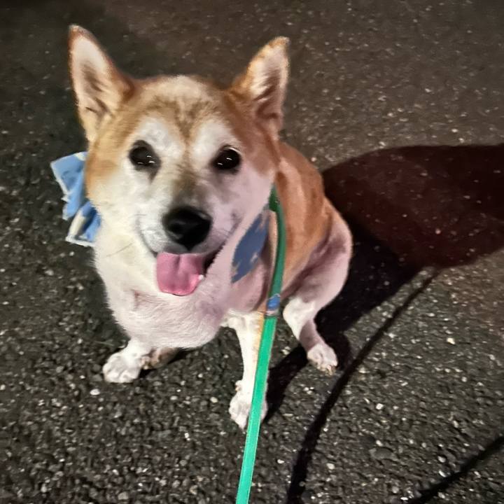 65008f52 ddb8 4185 989c 711274a97bfc 1756636964609