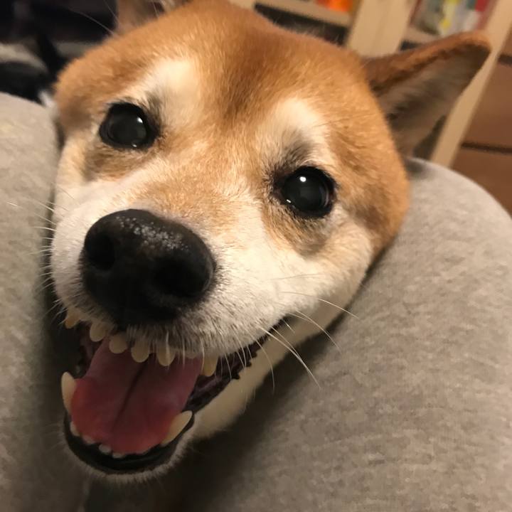 650098bf 4c2e 4400 8b47 858a9a7086c6 1525702575663