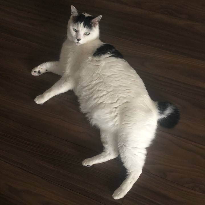 6500b525 0eba 42b0 9d10 591822d2b585 1583642925478