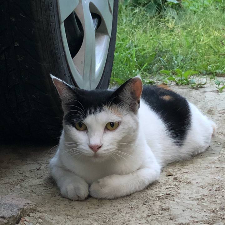 6500cb23 1a1e 4ec9 98ad 4ad3be059457 1598350478402