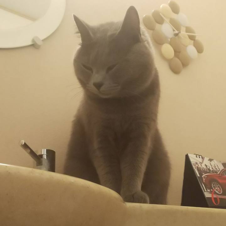 6501000a 654c 41fd 92f0 b4c2ec951dd1 1560818463442