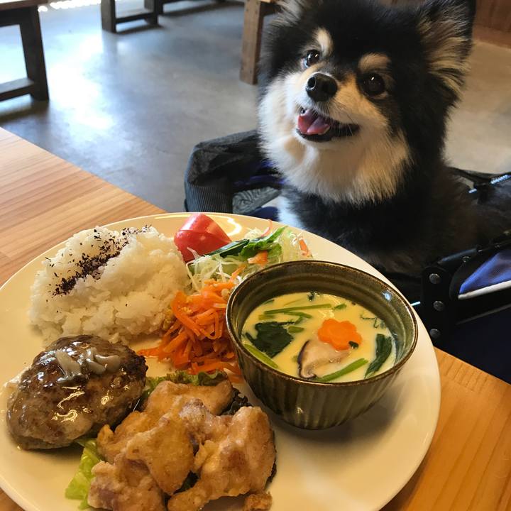 6501038e 25e2 4407 b9e2 889978e31674 1525314284443