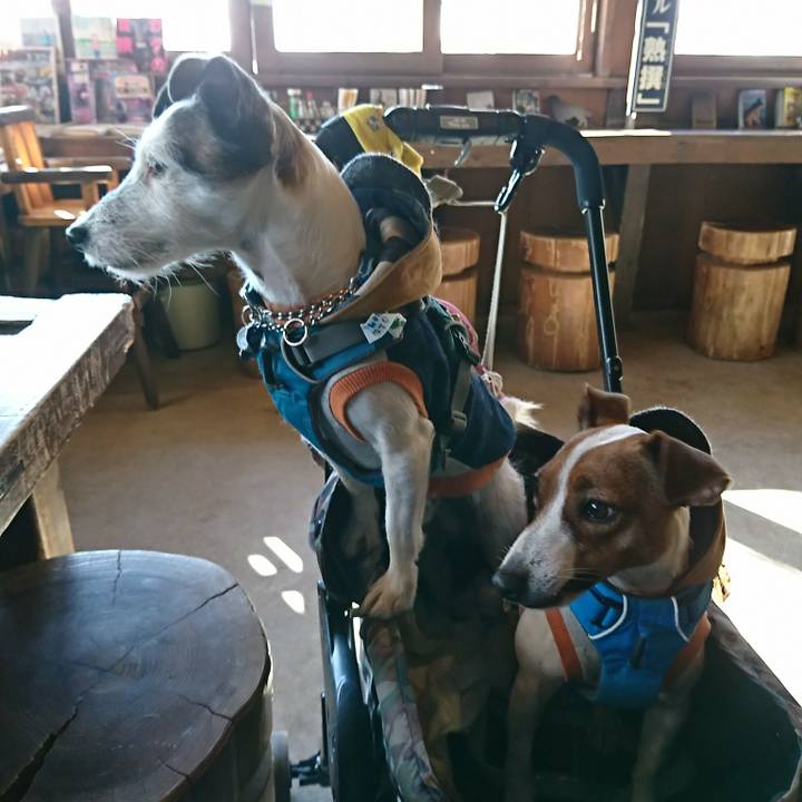 65015f9f 7dd4 49a8 9b9e a267302d9150 1547882100691