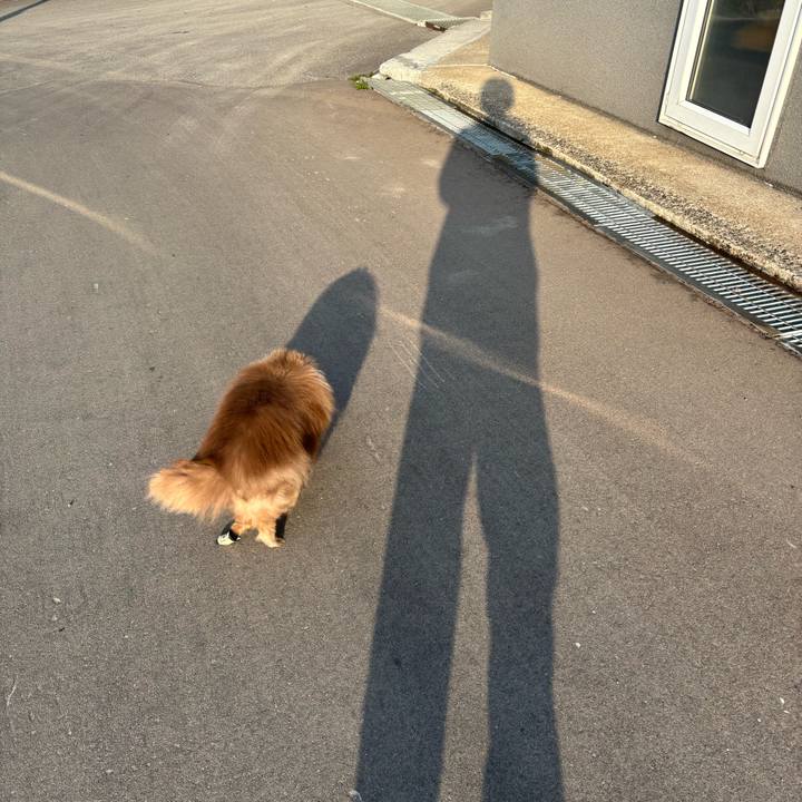 65016c9c 4b0d 4f35 85b5 5581deeb7963 1744583464231