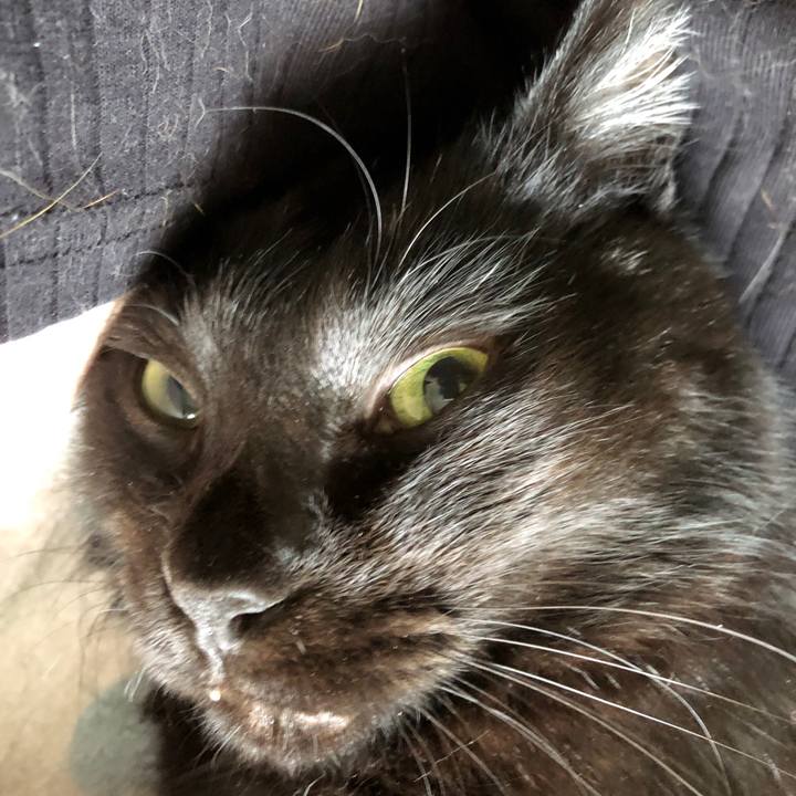 6501b857 f899 4363 9afd 887421d967cd 1569729366487