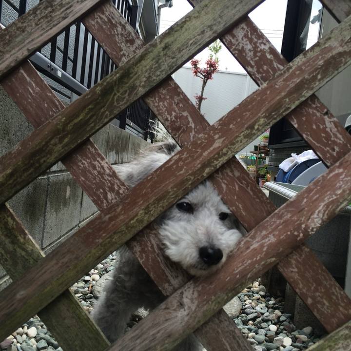 6501d288 50c1 4363 bd07 7cd5da7f4ae8 1731966242182