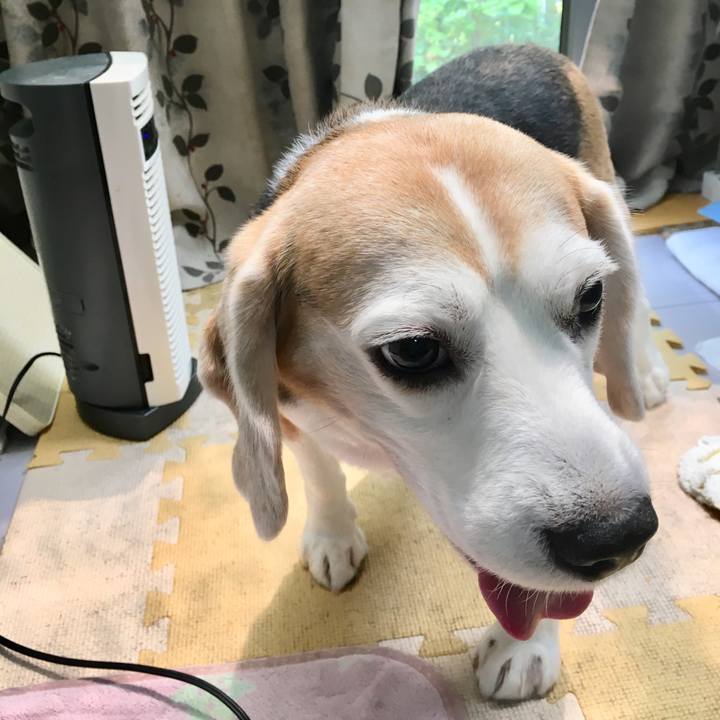 650228e5 daae 4a92 b369 10aa9955ecfb 1561002454445