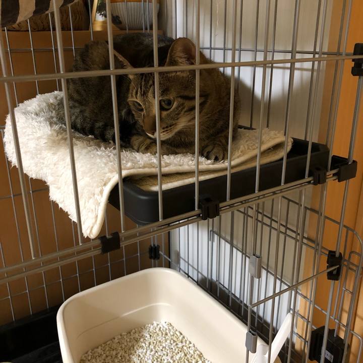 6502762a cd1e 4b73 82d4 9705fd2e8a3d 1559305858863