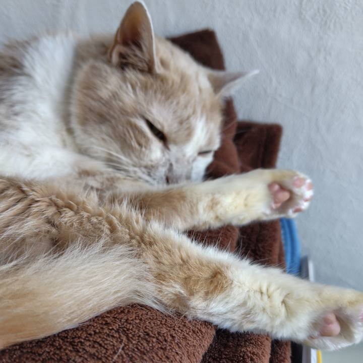 65029030 1835 4b68 8bed 7f01bc685029 1721432029534