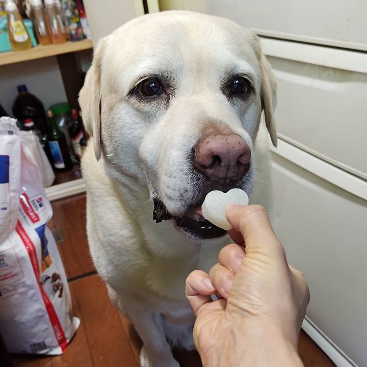 65029963 598d 4661 8de4 85aa6e2ce2f7 1749085059110