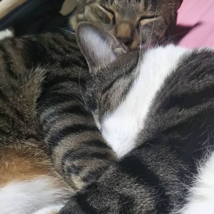 6502acd5 f62f 405f af36 67ca7e1ad5eb 1610371861481