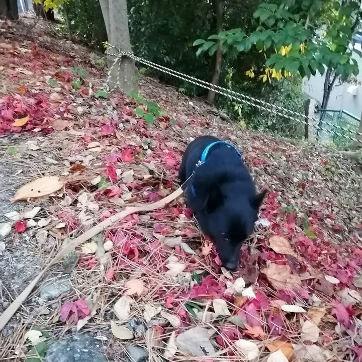 6502b982 2160 46fd 9d99 bd80af90da9b 1607551812919