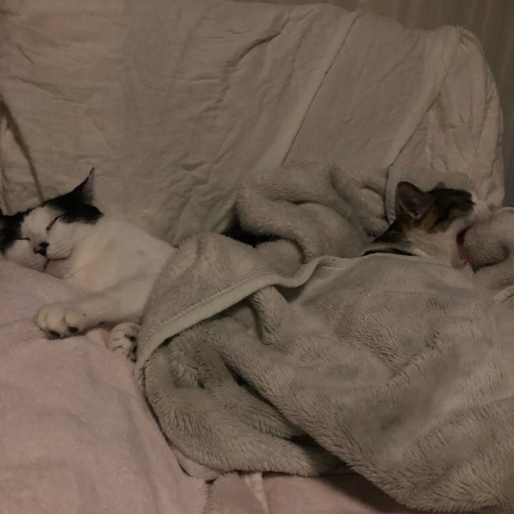 6502b9cf f055 4f6b aece cd1fb0e05b6c 1603814714945