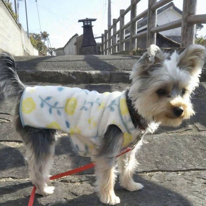 6502db6e 670a 4b6c b637 7617d32414cb 1545023612406