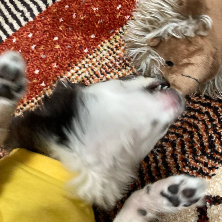 6502ece4 8416 4178 a152 ee8974240e91 1672844587119