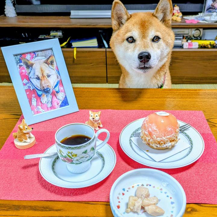 6502ed41 3936 4619 8d13 3bb31ff0c8d3 1755328933228