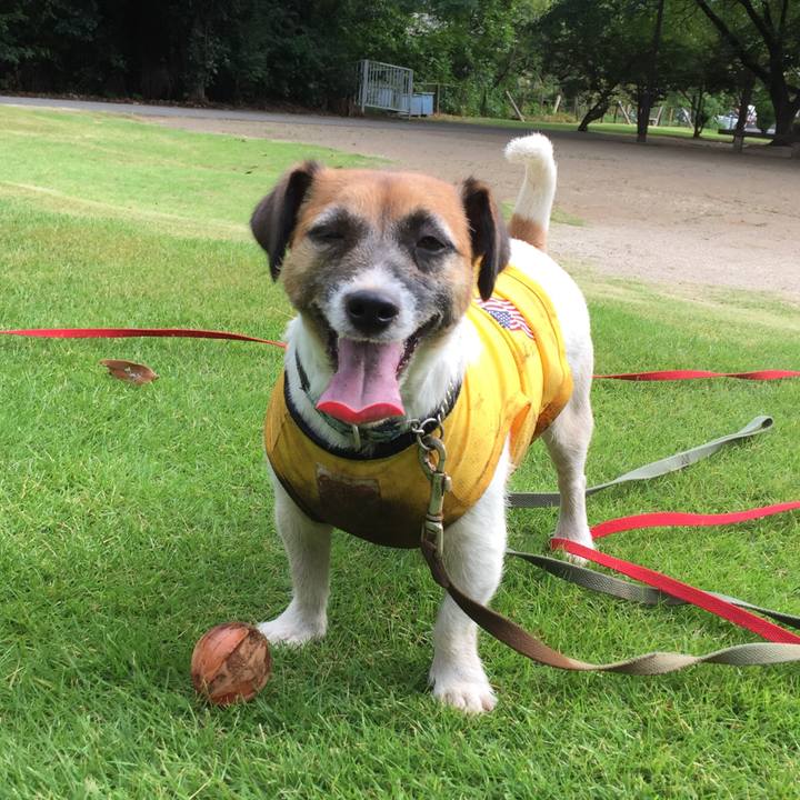 65030102 4b7f 4bc9 aba4 bc98fc794dbd 1565486855281