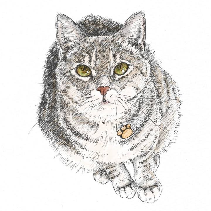 650311b2 8c48 4e7f 8788 d96a2ffa1fdb 1566916982309