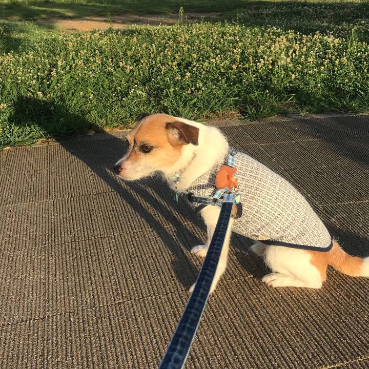 65032196 12fa 47ff 9218 239c3ab21f64 1534287730406