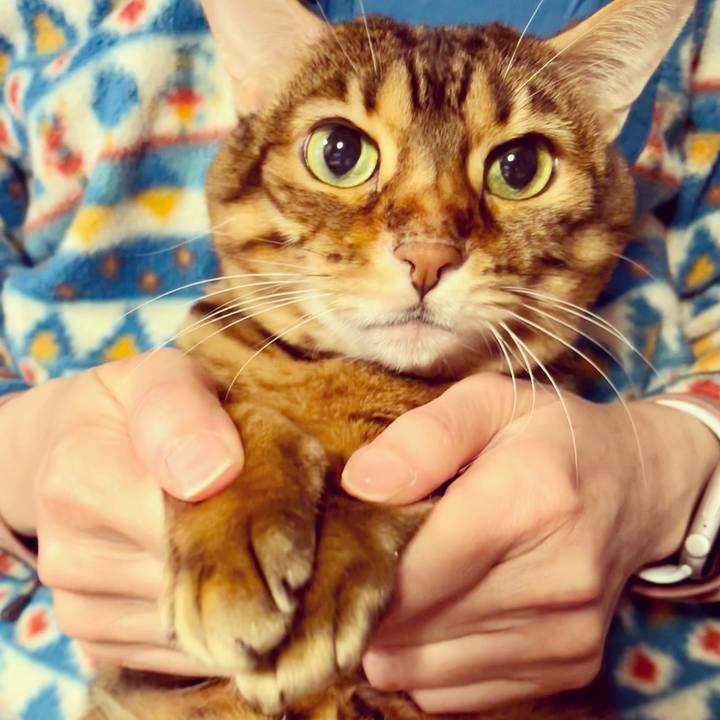 65034767 aecb 49ce 8b6b 64445b430596 1641011266797