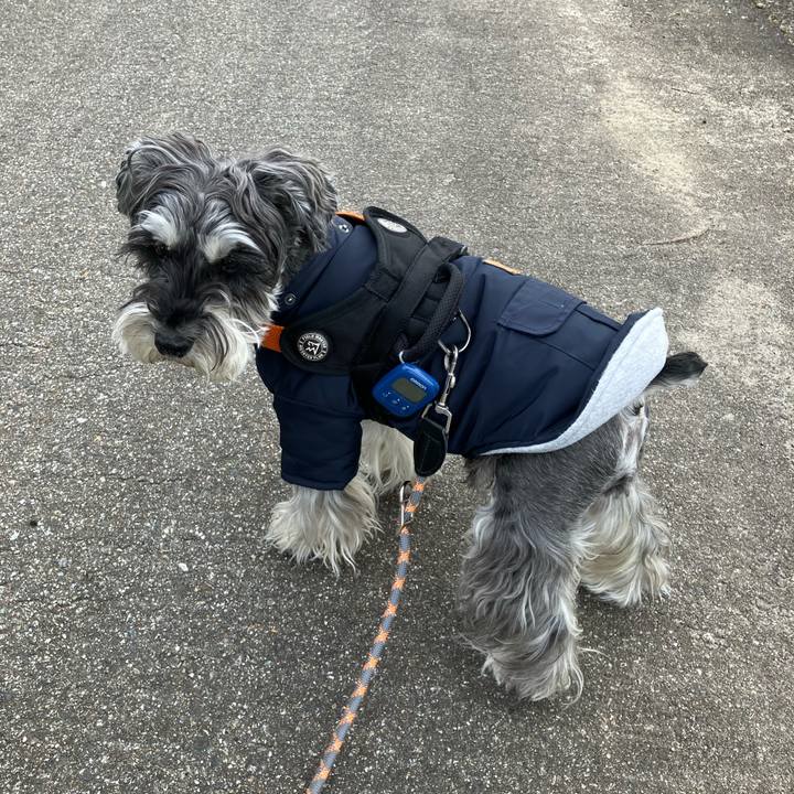 65036216 7d56 4da1 988f 2707a4f3b339 1741851988910